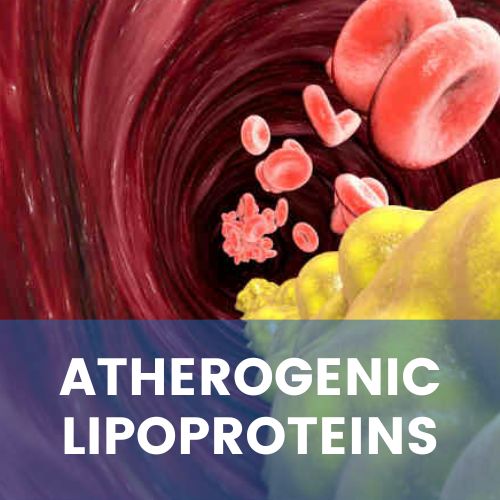 Atherogenic lipoproteins: which, when, and how to quantify